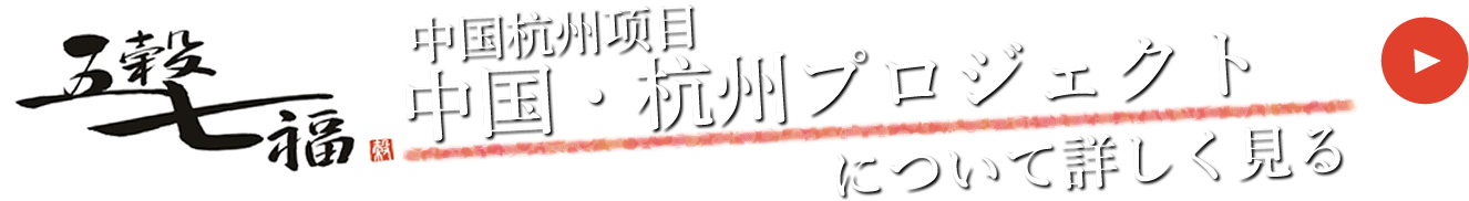 中国・杭州プロジェクト詳しく見る