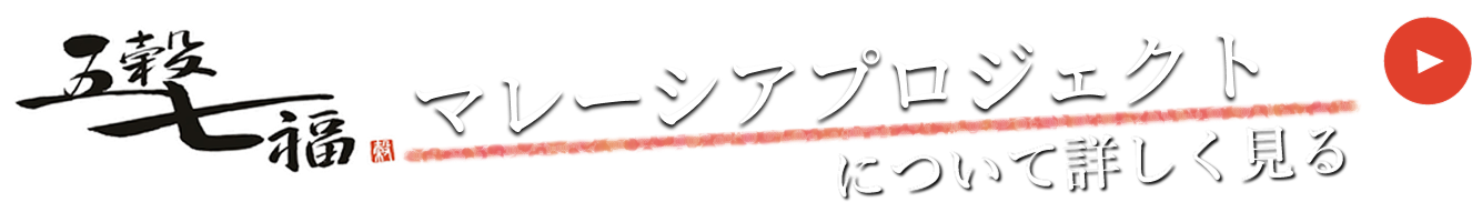 マレーシアプロジェクトについて詳しく見る